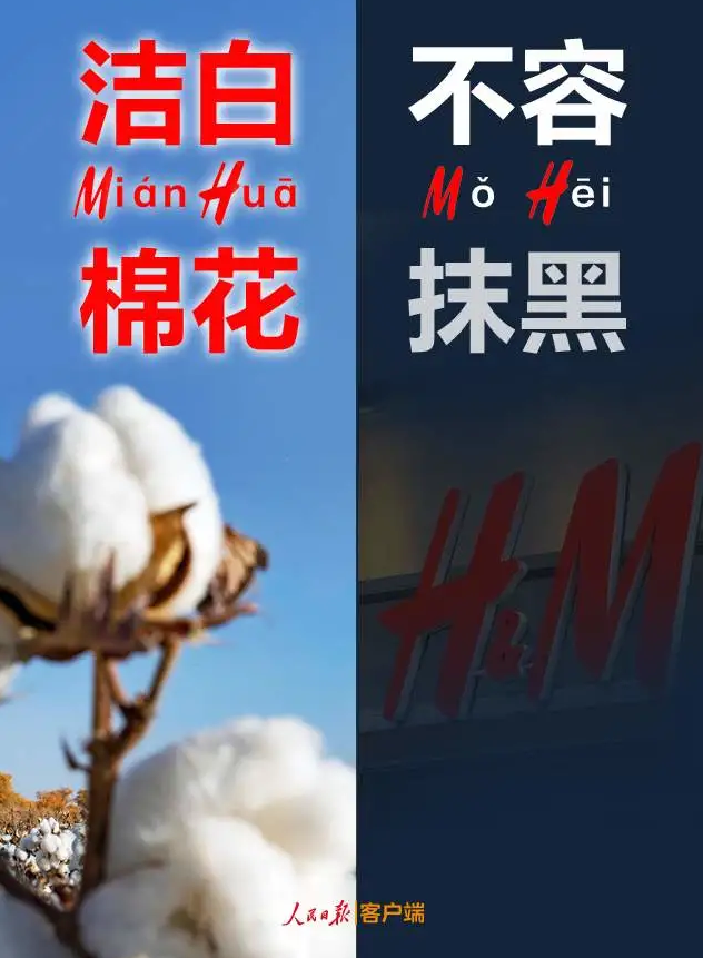 潔白棉花，不容抹黑，花榮華與華一起